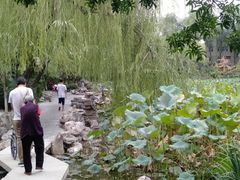 -莲湖公园