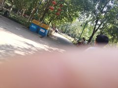 -丰台科技园生态主题公园