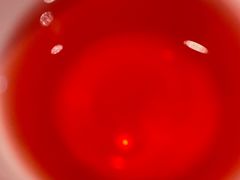 -金掌勺东北菜(格兰晴天店)