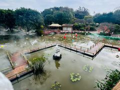 -广州莲花山旅游区