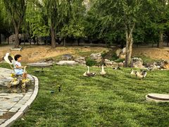 -鄂尔多斯野生动物园