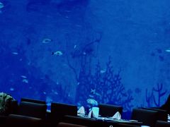 -上海海昌海洋公园