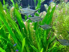 -上海海洋水族馆