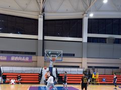 -莱茵体育生活馆