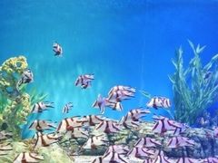 -梦幻海洋王国(吾悦广场张家港店)
