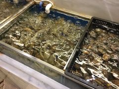 -大东方海鲜酒楼(小武基桥店)