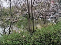 -武汉园博园(武汉自然博物馆)