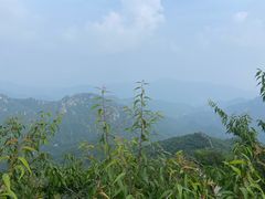 -大岭沟猕猴桃谷风景区