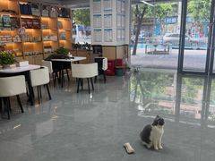 -贝利宠物医院·骨科·眼科·肿瘤转诊中心(南坪诊疗中心)