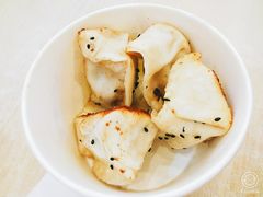 -汪记大王锅贴(成山路店)