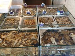 -嘉定凯悦·咖啡厅