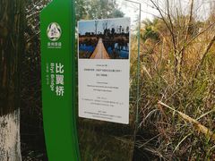 -桤木河湿地公园