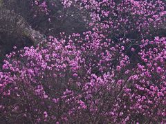 -青岛大珠山景区