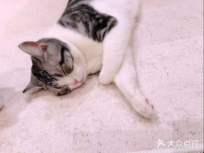 佳雯宠物医院(金华南路分院)图片