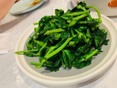 清炒豌豆尖-雲蜀龙阁·金牌水煮鱼(方庄店)