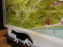 -猫的天空之城概念书店(杭州南宋御街店)