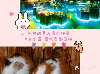 闷热的夏天遛娃种草Q宠乐园！团购聚划算哦