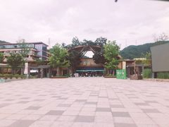 -杭州开元森泊度假乐园