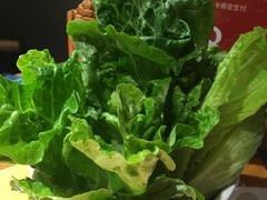 生菜-海银海记潮汕牛肉火锅(新港中路海珠店)