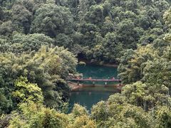 -鼎湖山风景区