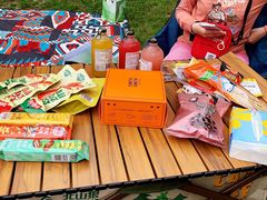 -上海共青森林公园