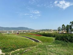 -光明小镇欢乐田园