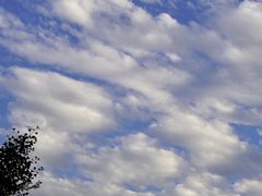 -两河城市森林公园