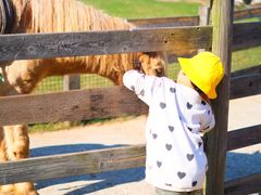 -前小桔亲子创意农场·草莓采摘·露营烧烤