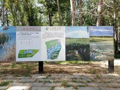 -汉石桥湿地公园