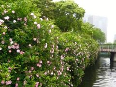 -尚贤河湿地