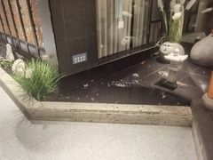 -渝乡辣婆婆·川菜 水煮鱼(安平店)