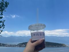 -大理洱海