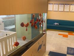 -杭州贝瑞斯美华妇儿医院·早孕·产检·儿科