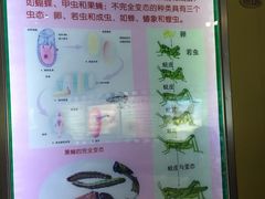 -上海昆虫博物馆