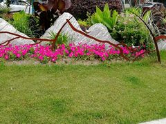 -双季花艺园艺市场(浦东店)