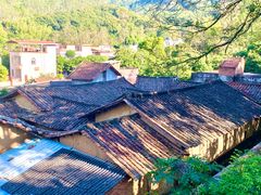 -广州白江湖森林公园