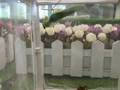 -上海昆虫博物馆