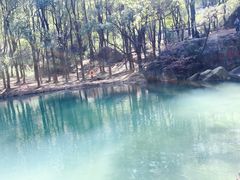 -白马涧龙池景区