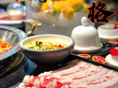 -井格重庆火锅(西直门凯德Mall店)