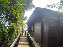 -三亚亚龙湾人间天堂鸟巢度假村