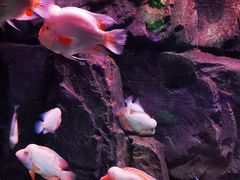 -蓬莱欧乐堡海洋极地世界