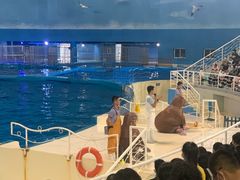 -泉城欧乐堡海洋极地世界