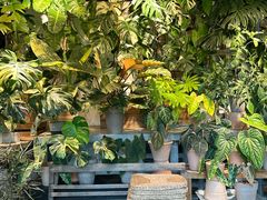 -自由生长植物工作室(深港花卉中心店)