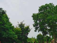 -深圳国际园林花卉博览园