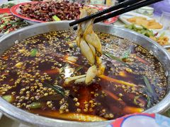 -东吴霸王兔(松青路店)