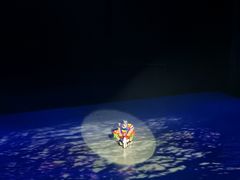 -重庆国际马戏城