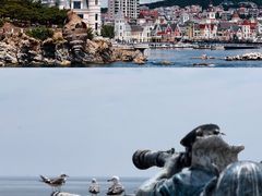 -大连老虎滩海洋公园
