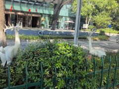 -荆州绿地铂骊酒店·铂雅全日自助餐厅