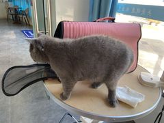 -宠颐生宠物医院·犬猫全科·皮肤科(商业街店)