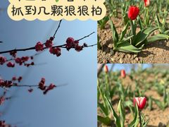 -长田漾湿地公园